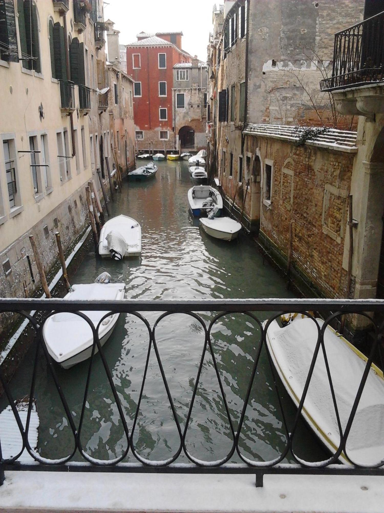 B&B Venice 1964 Dış mekan fotoğraf